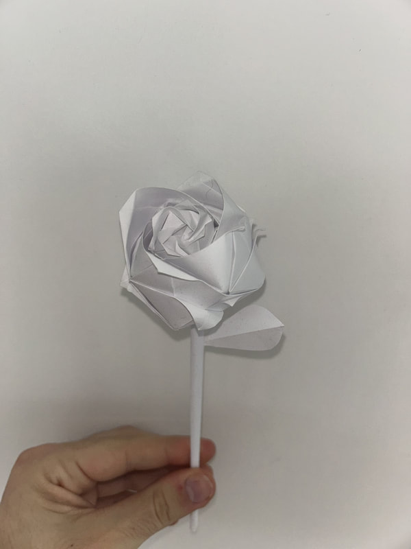 Rose